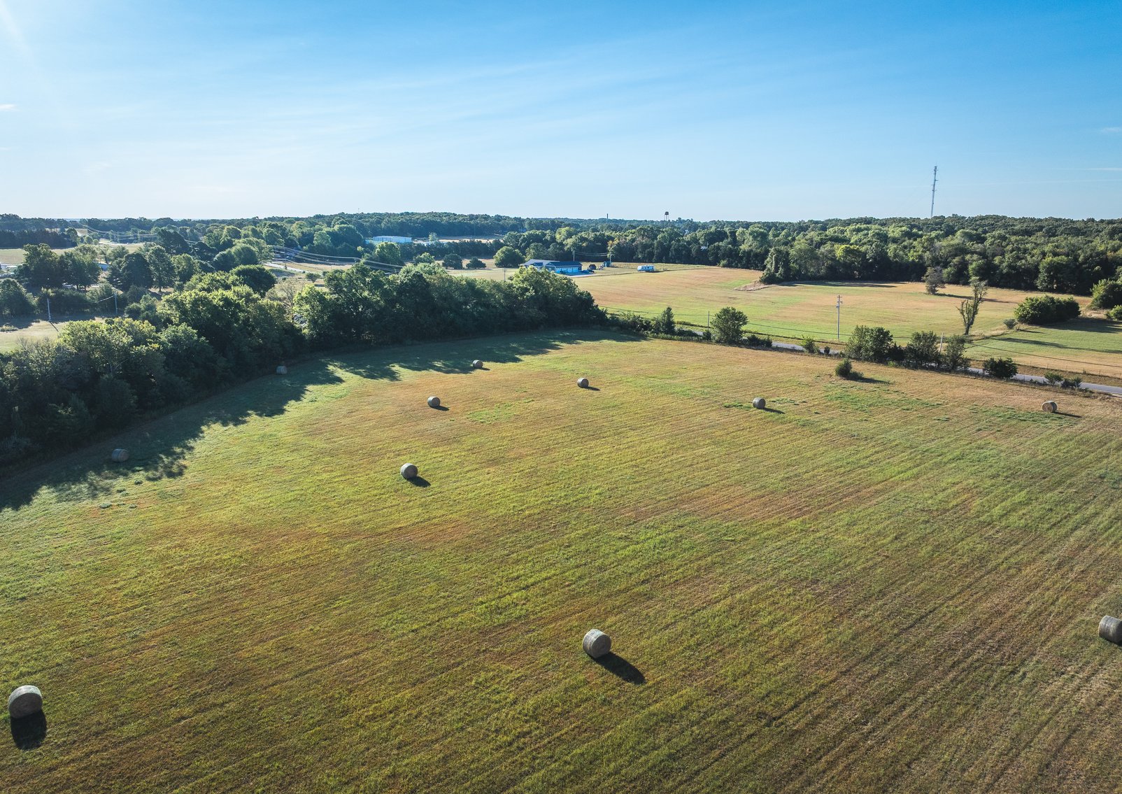 Image for Lebanon Auction