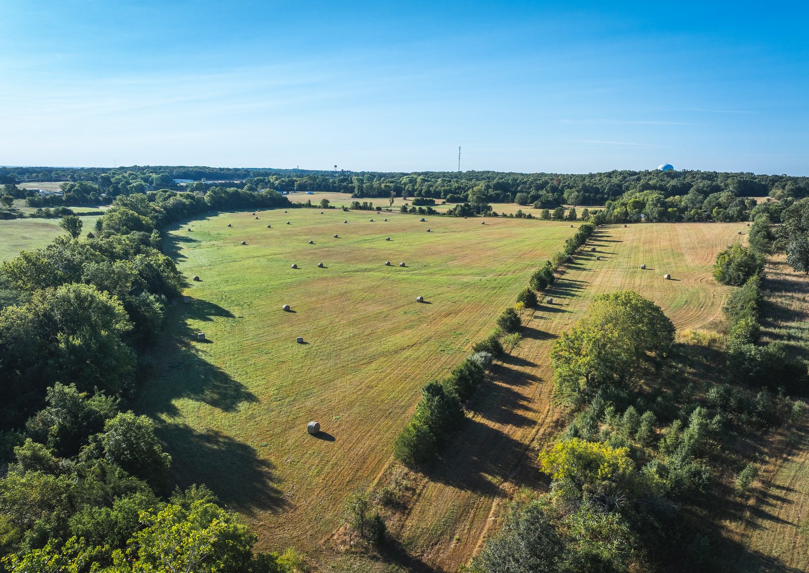 Image for Lebanon Auction