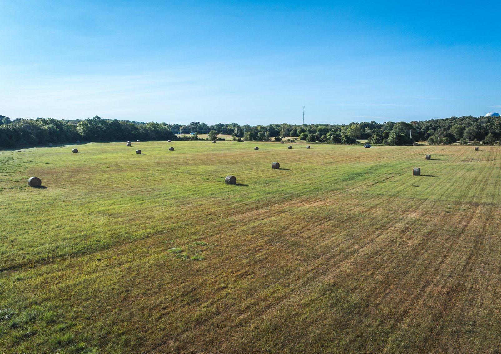 Image for Lebanon Auction