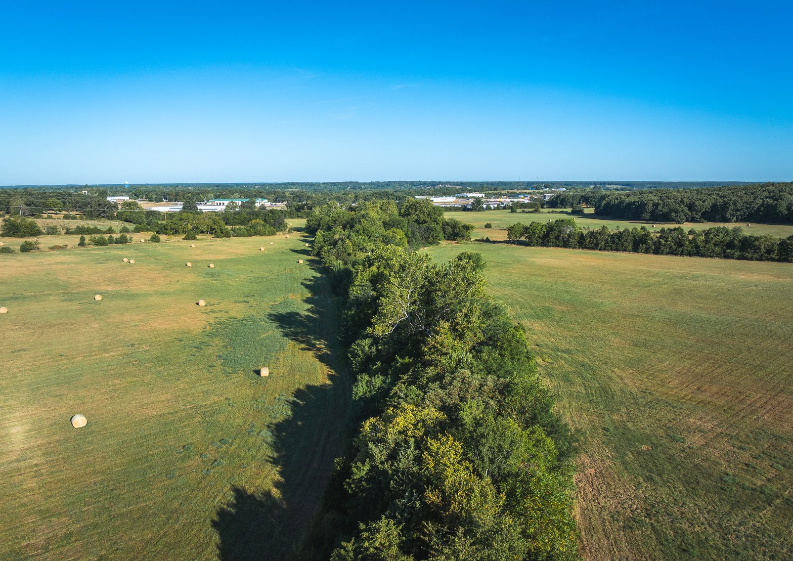 Image for Lebanon Auction