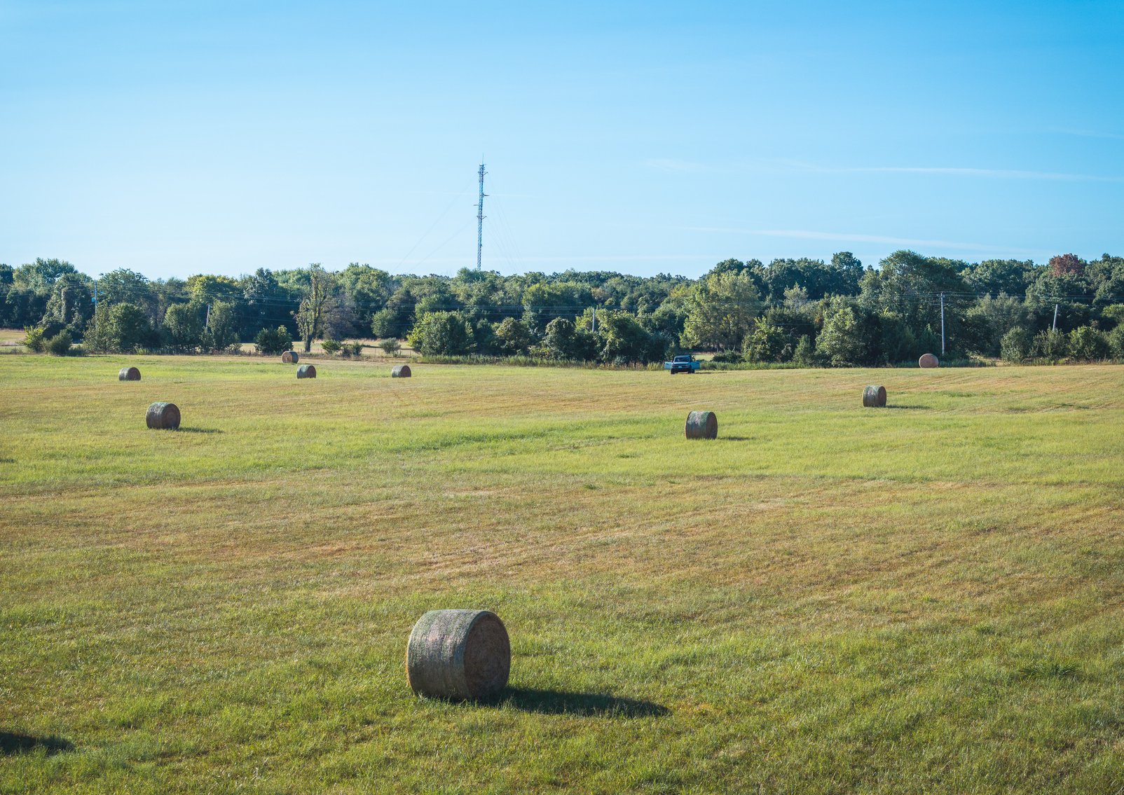 Image for Lebanon Auction