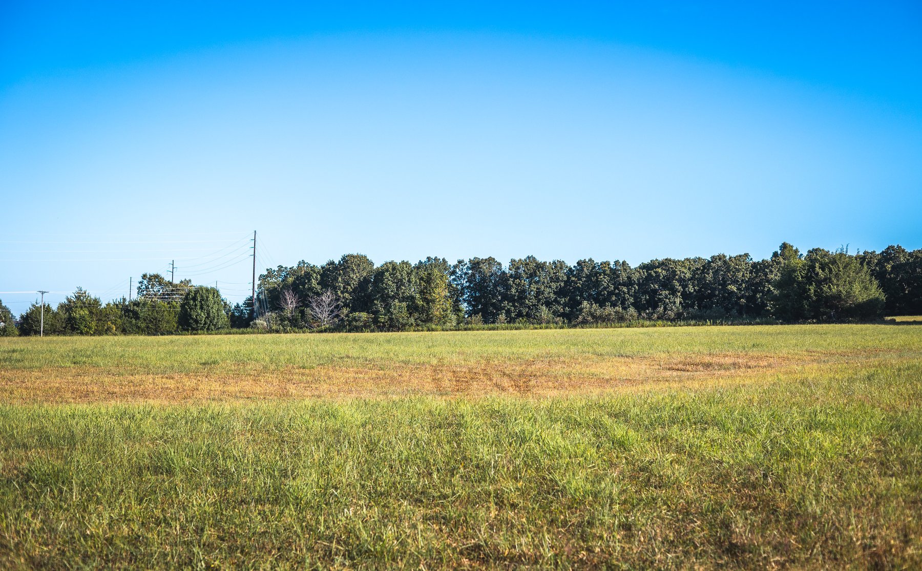 Image for Lebanon Auction