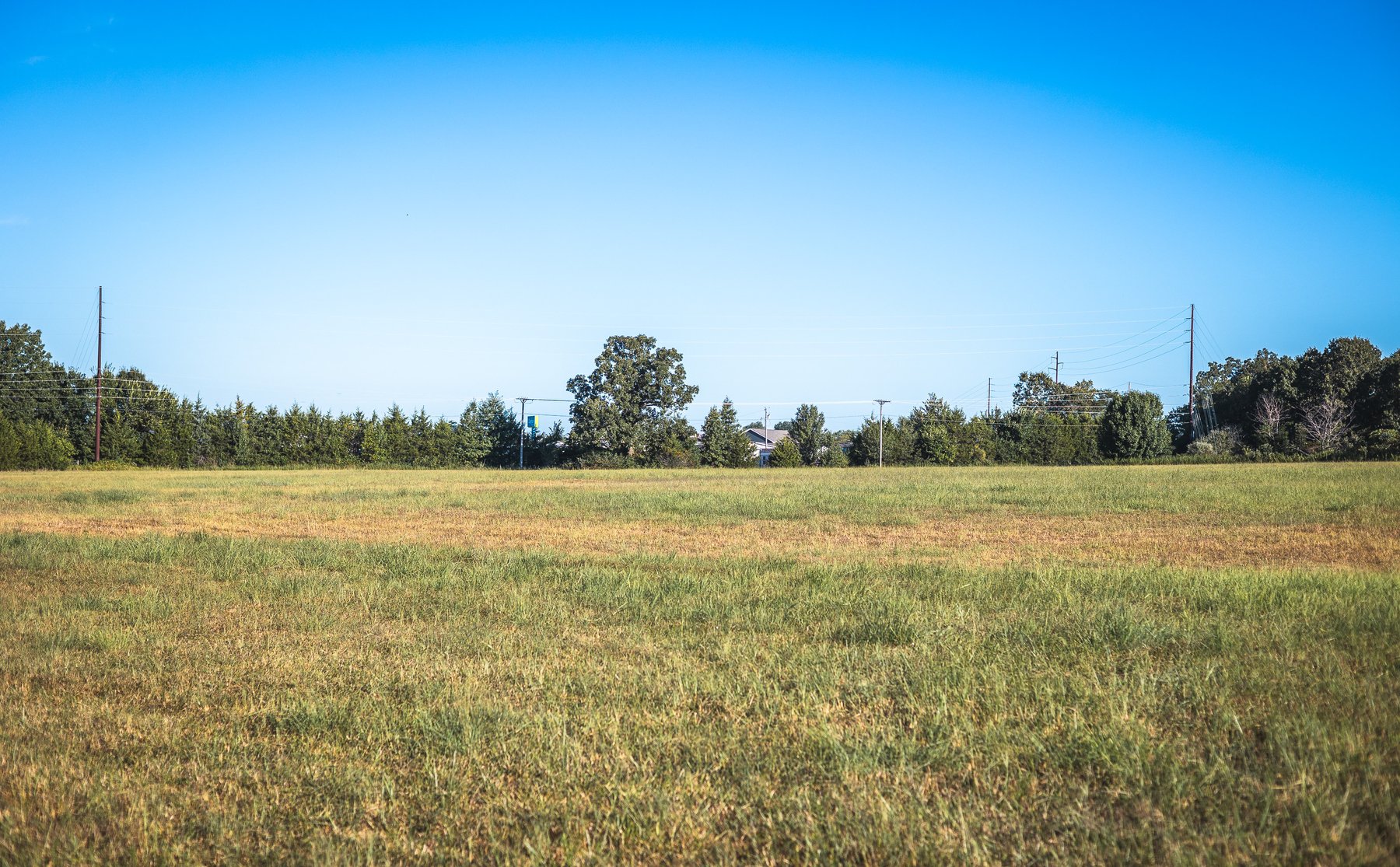 Image for Lebanon Auction