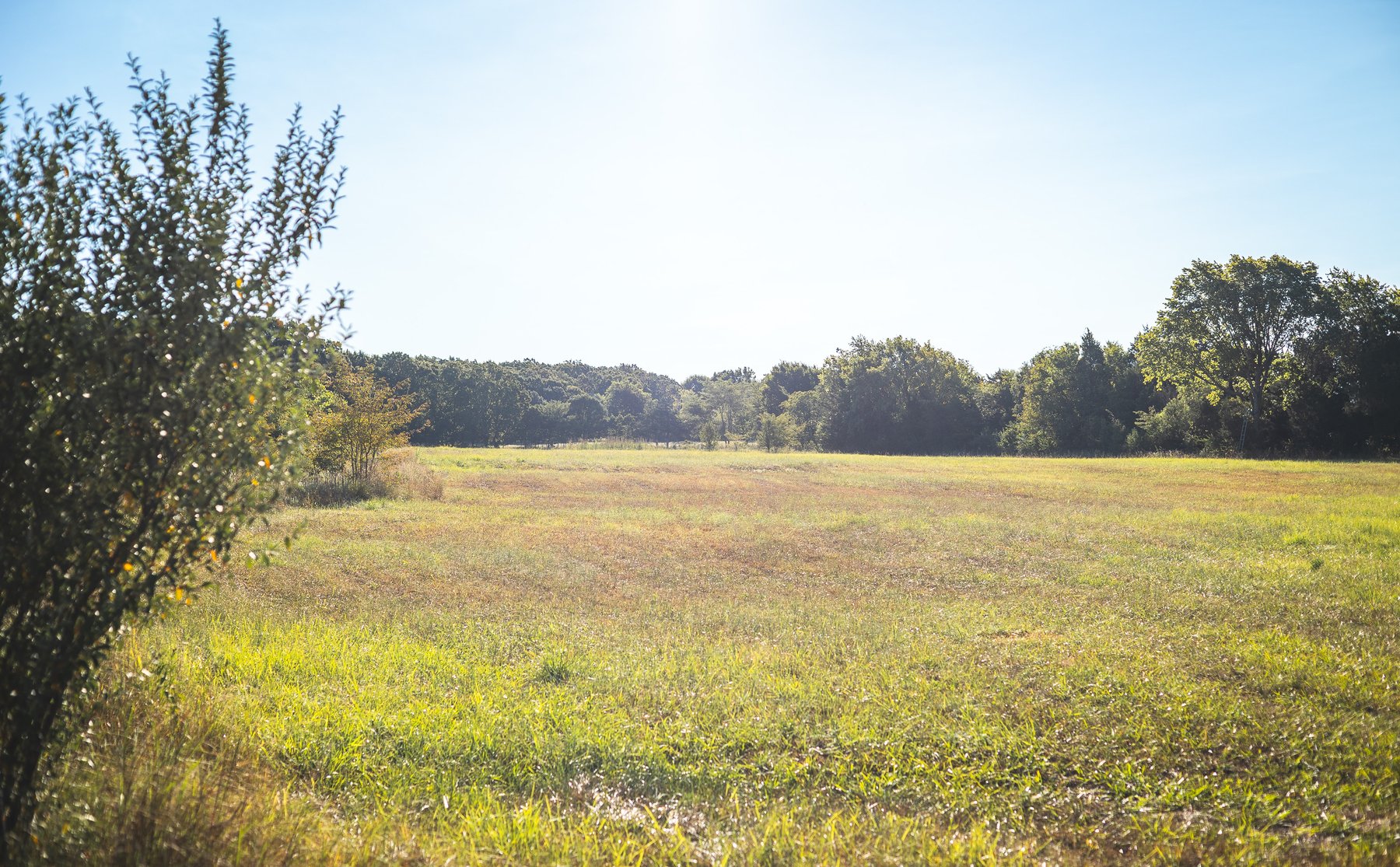 Image for Lebanon Auction