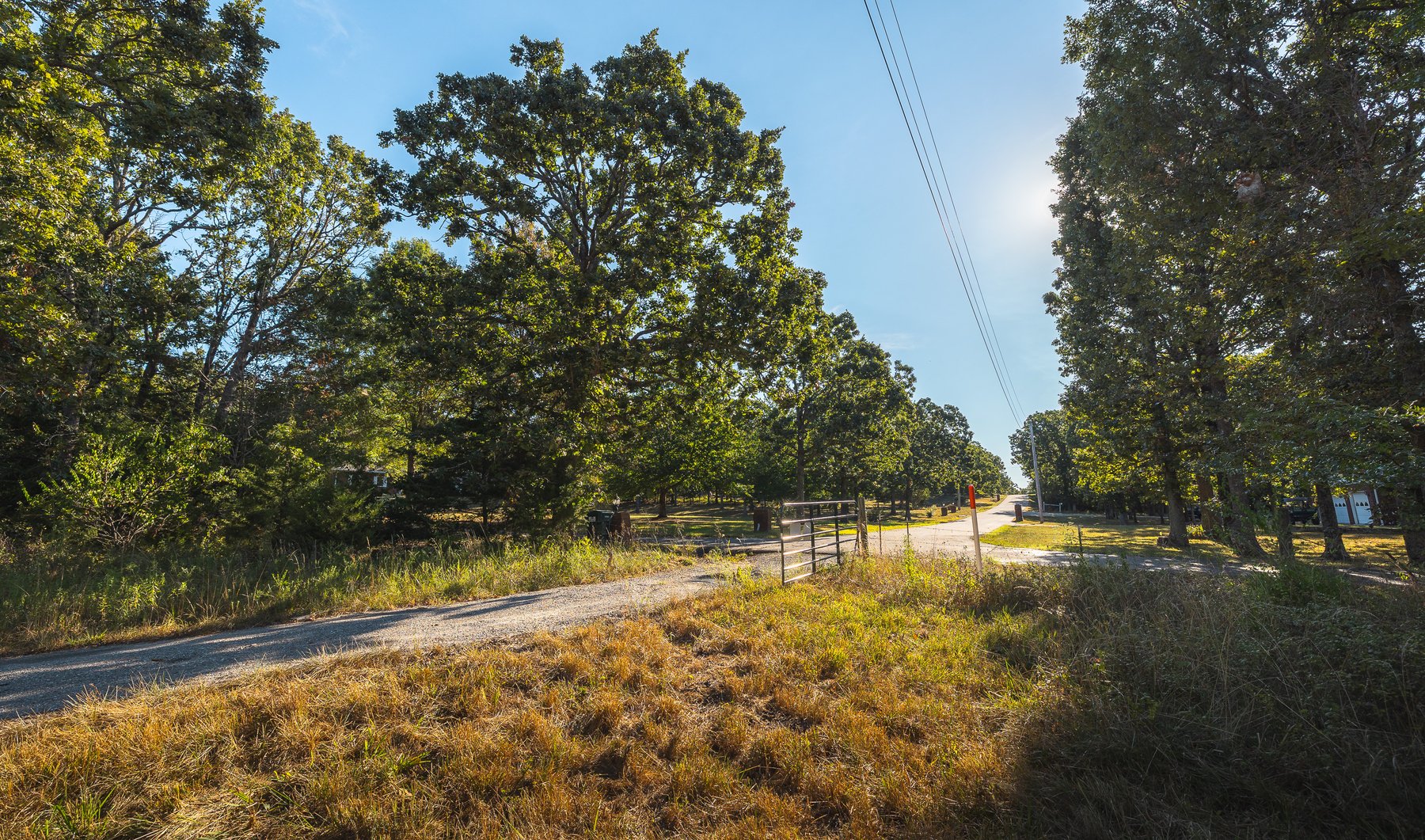 Image for Lebanon Auction