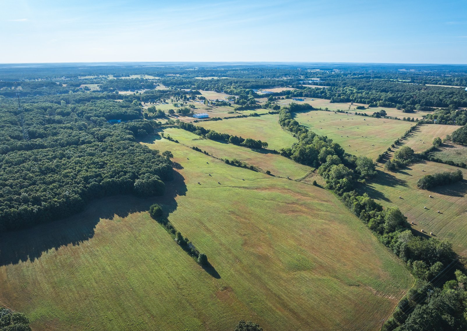 Image for Lebanon Auction