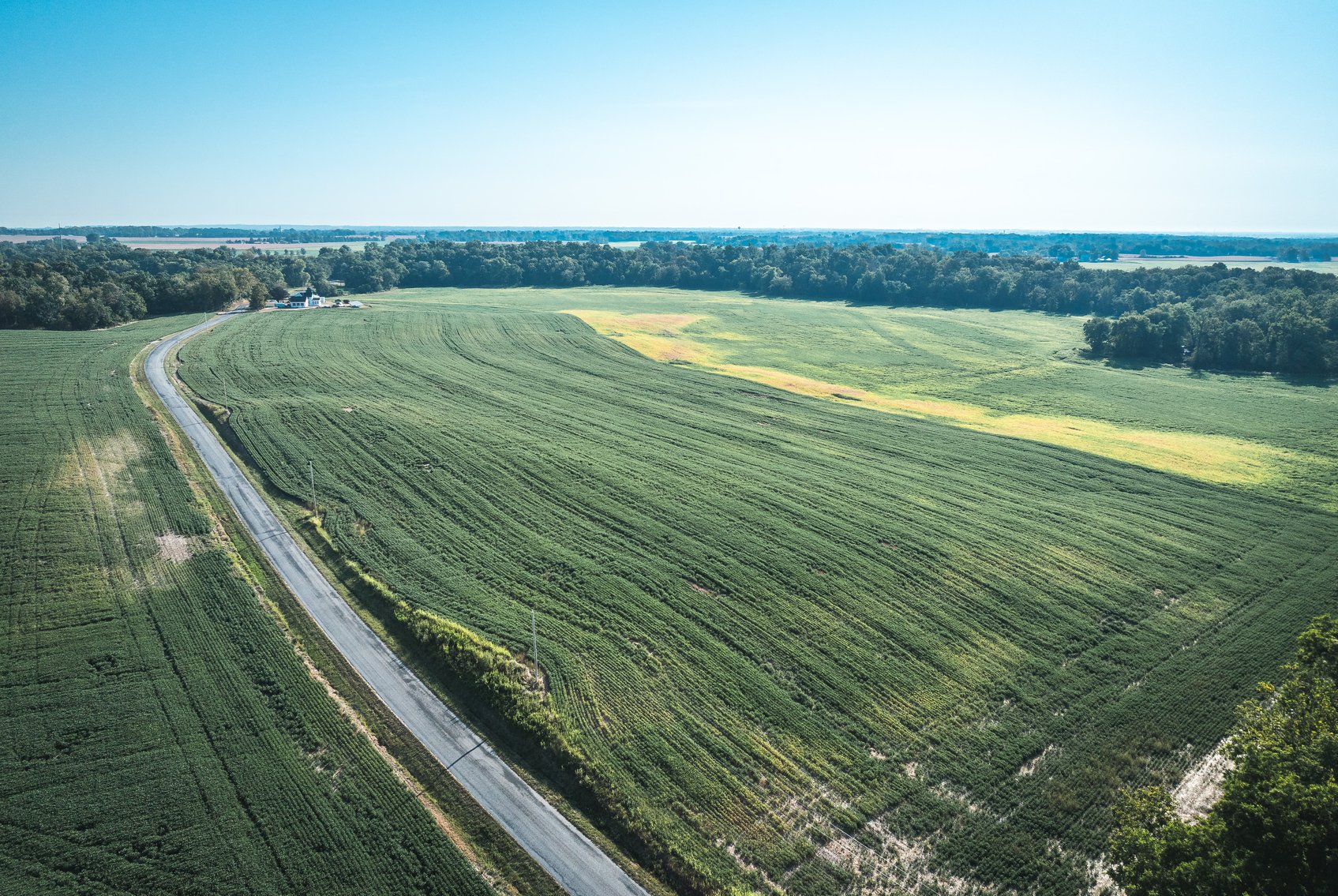 Image for St. Clair County Ag