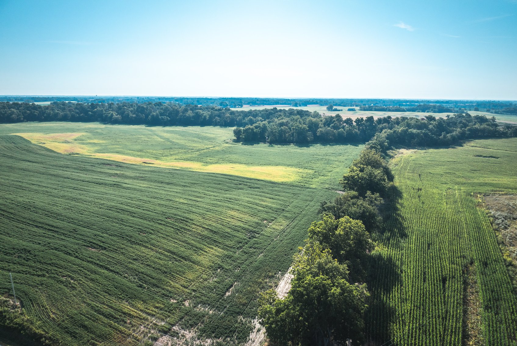 Image for St. Clair County Ag