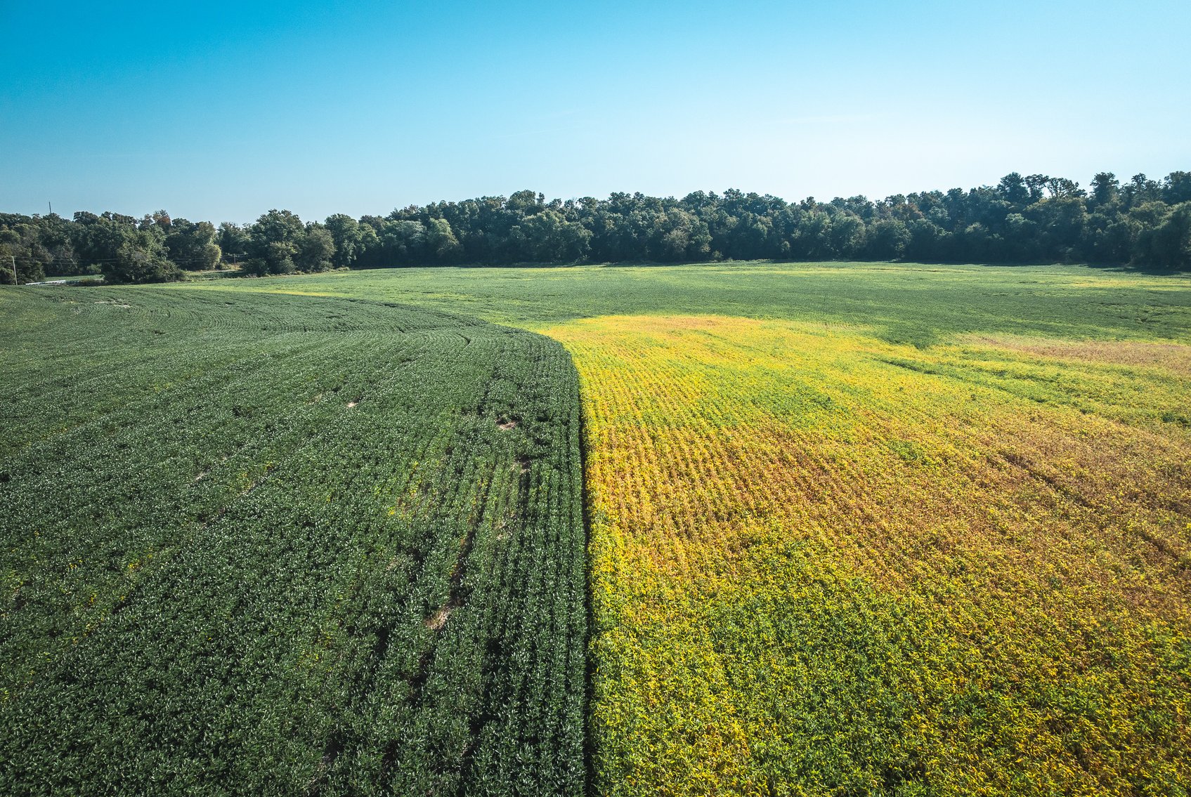 Image for St. Clair County Ag