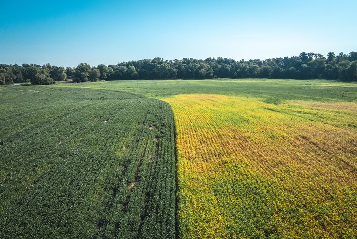 Image for St. Clair County Ag