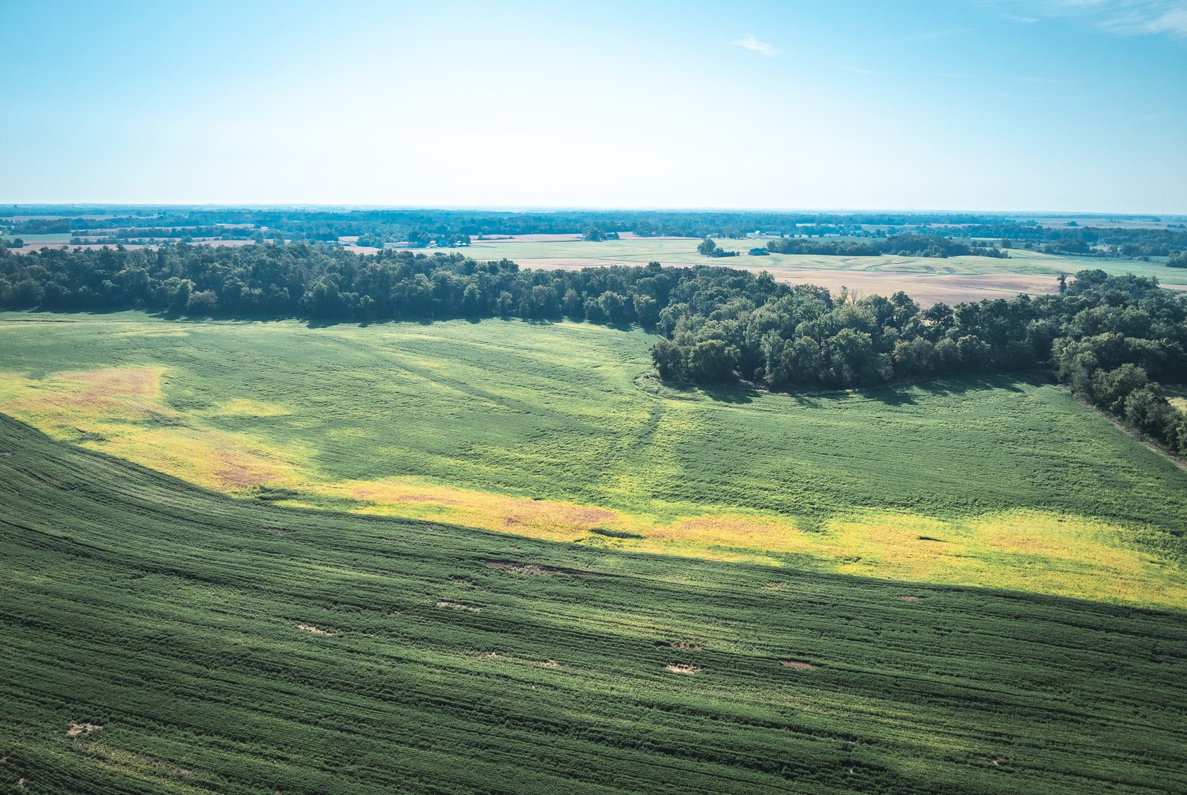 Image for St. Clair County Ag