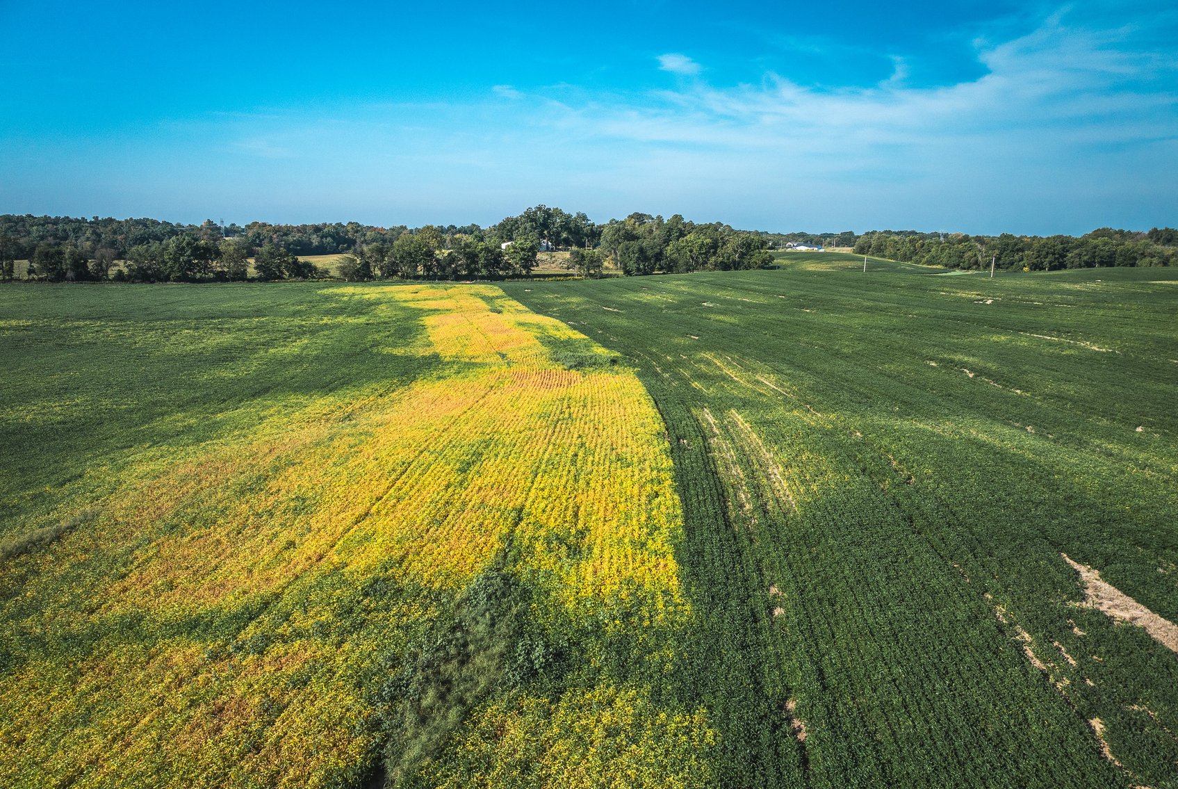 Image for St. Clair County Ag