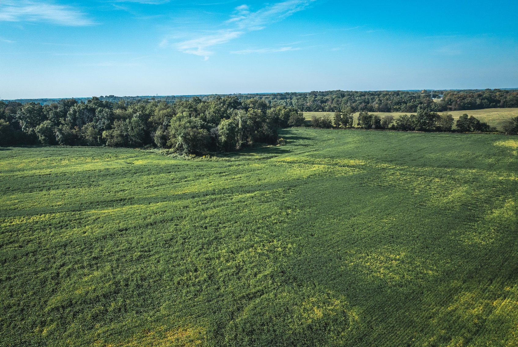 Image for St. Clair County Ag