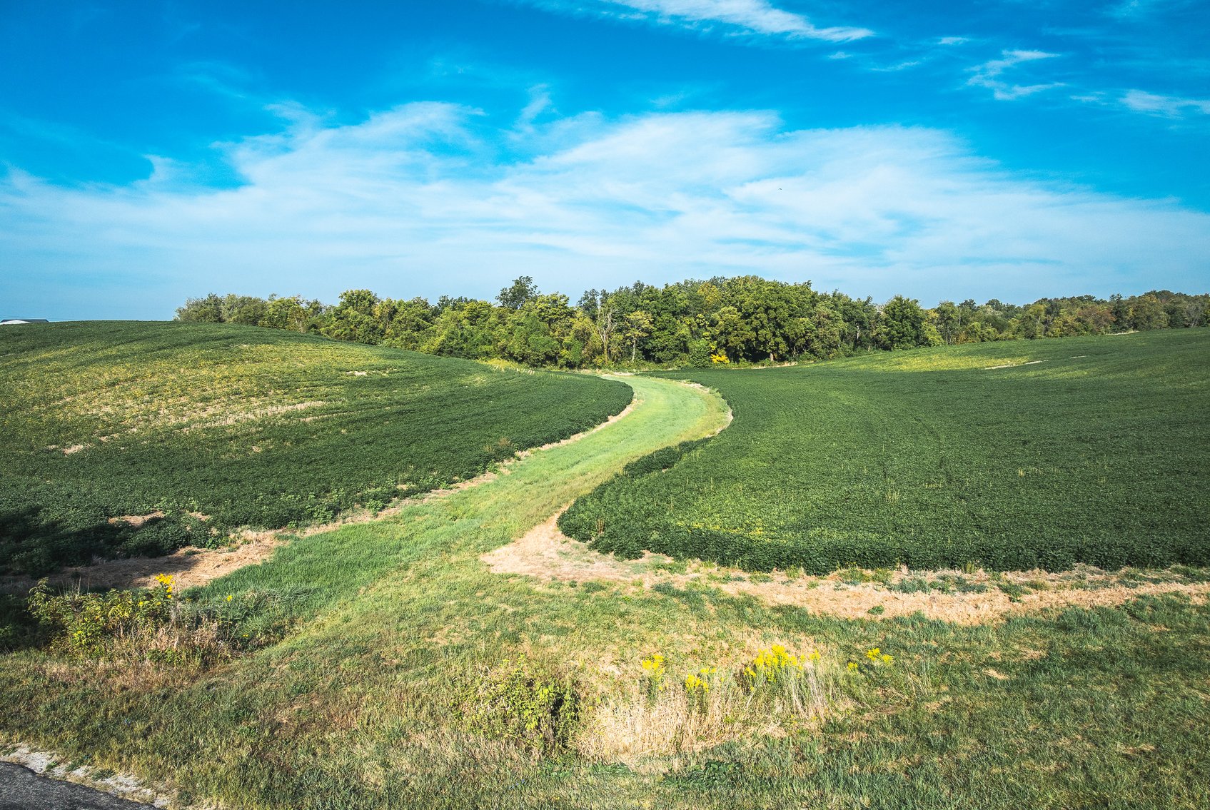 Image for St. Clair County Ag