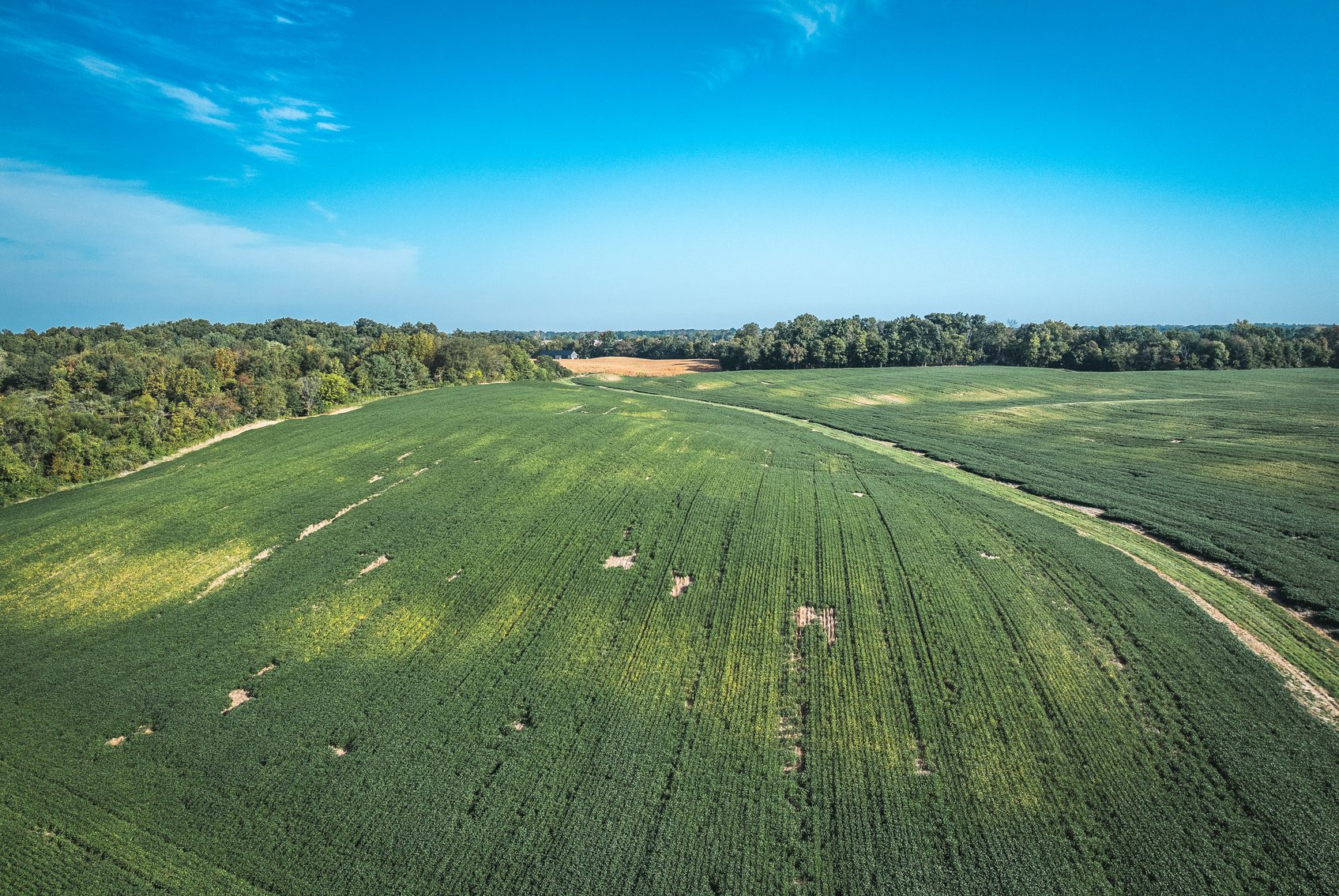 Image for St. Clair County Ag