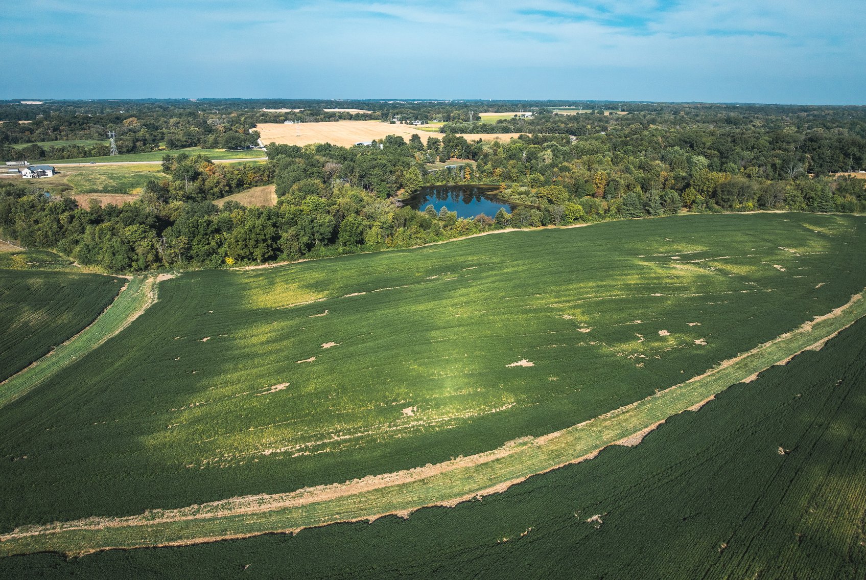 Image for St. Clair County Ag