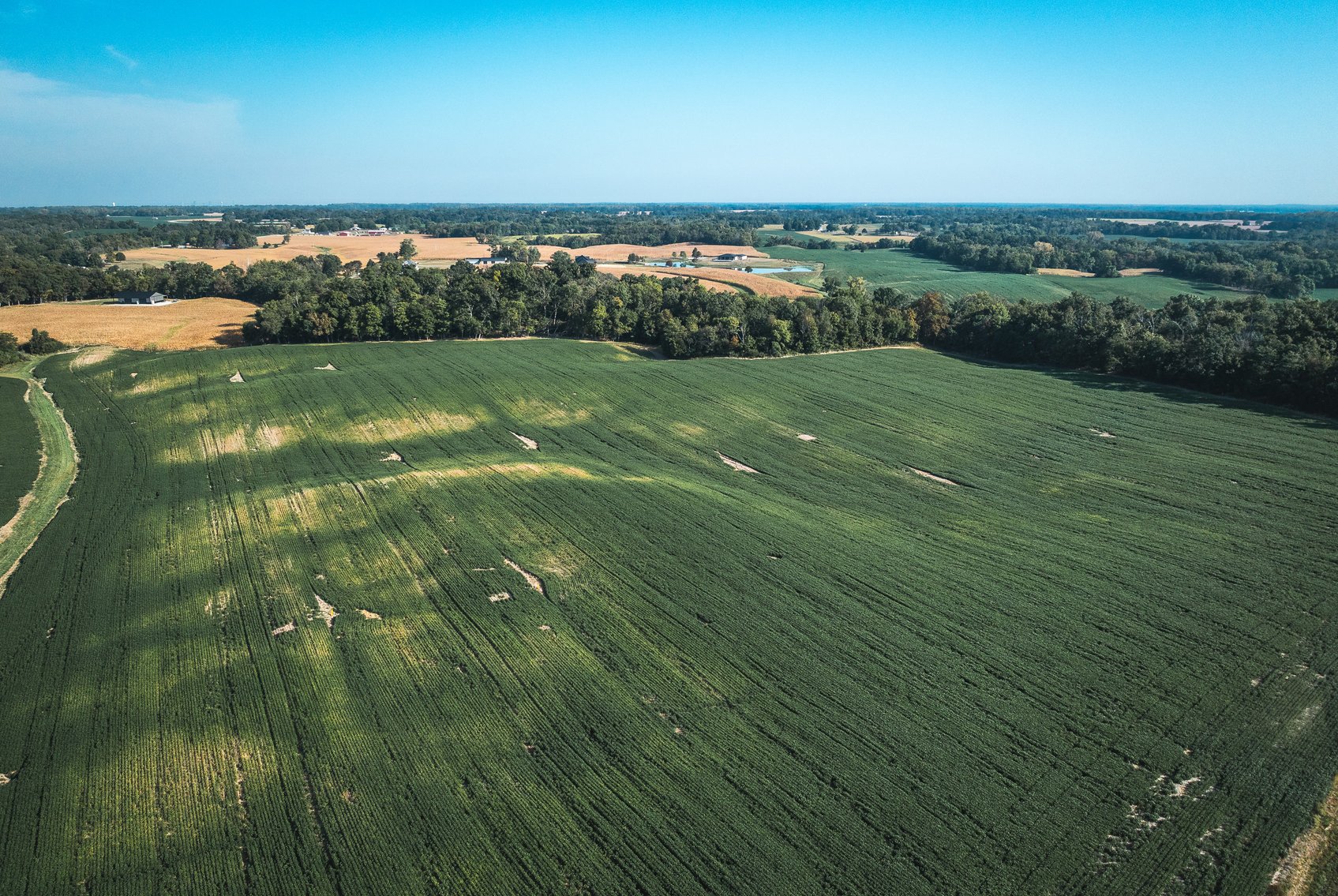 Image for St. Clair County Ag