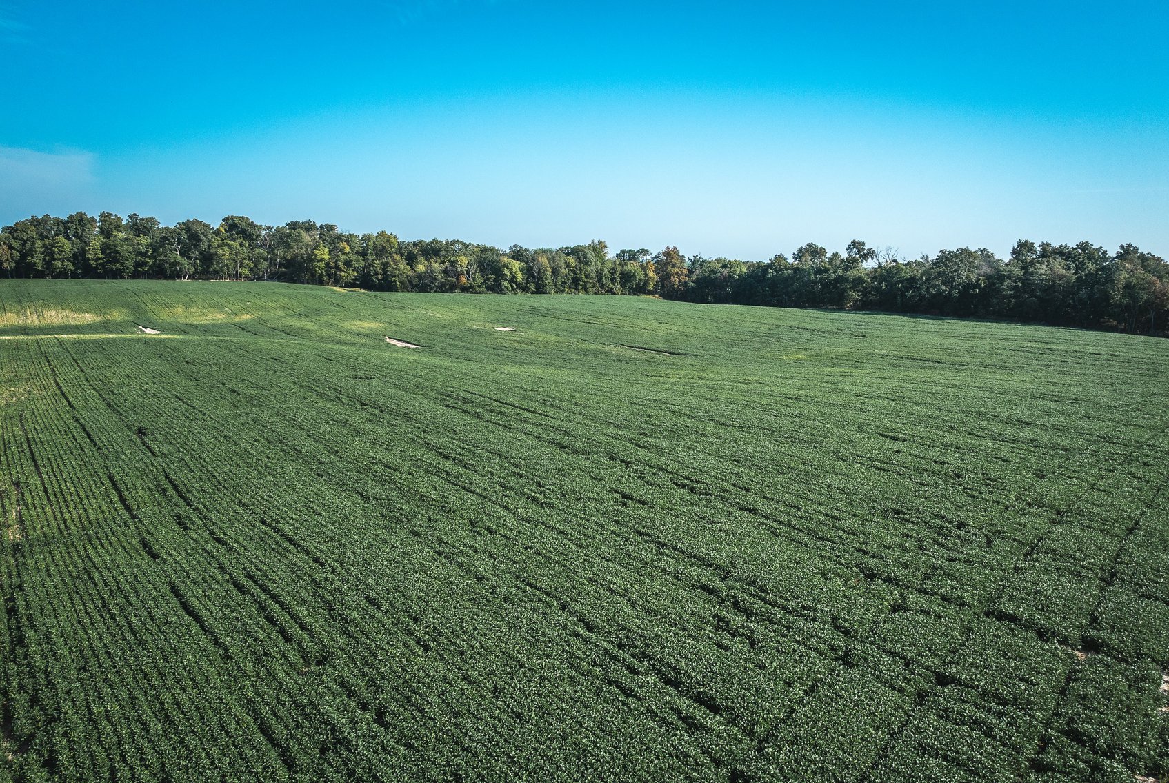 Image for St. Clair County Ag