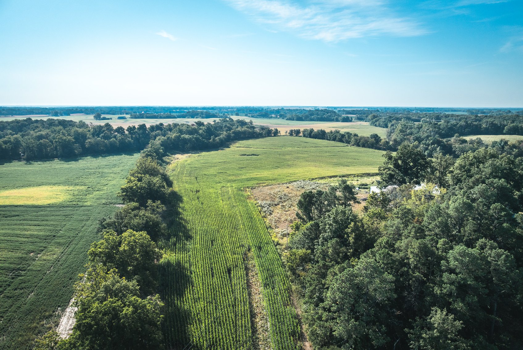 Image for St. Clair County Ag