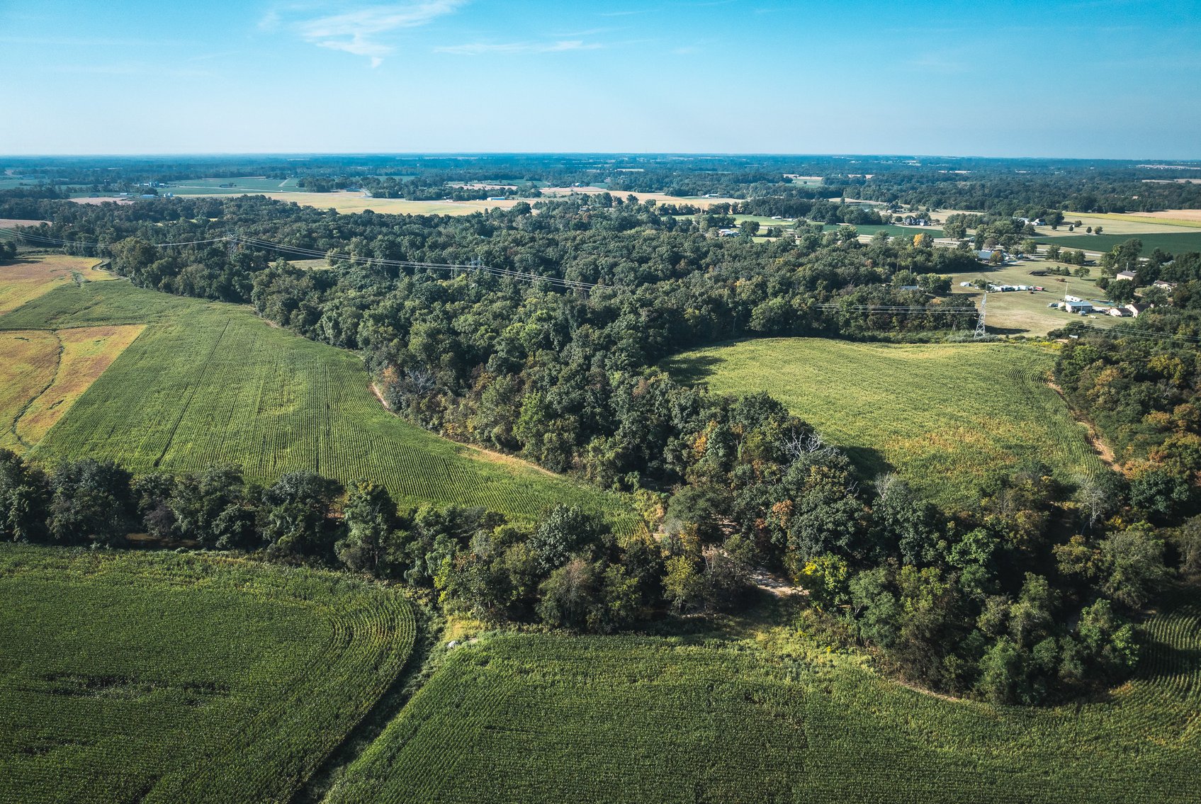 Image for St. Clair County Ag