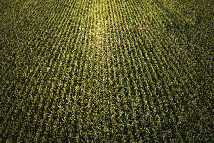 Image for St. Clair County Ag