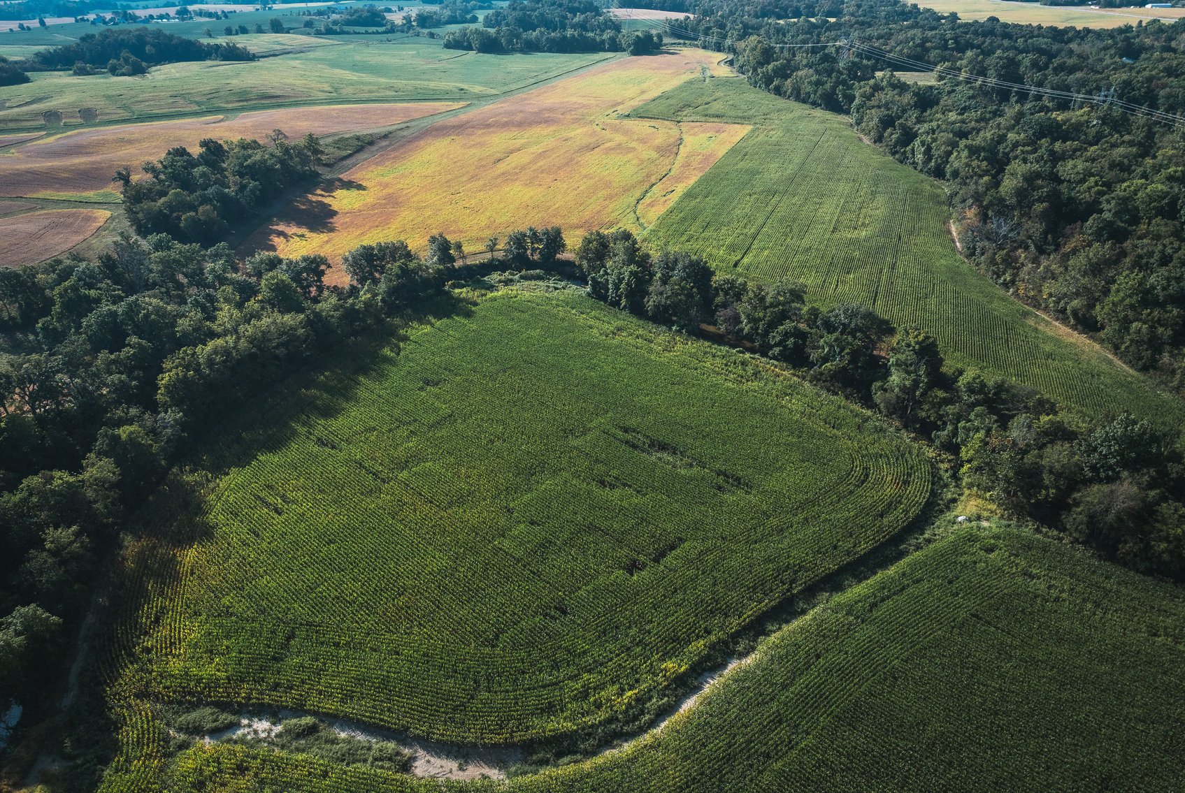 Image for St. Clair County Ag