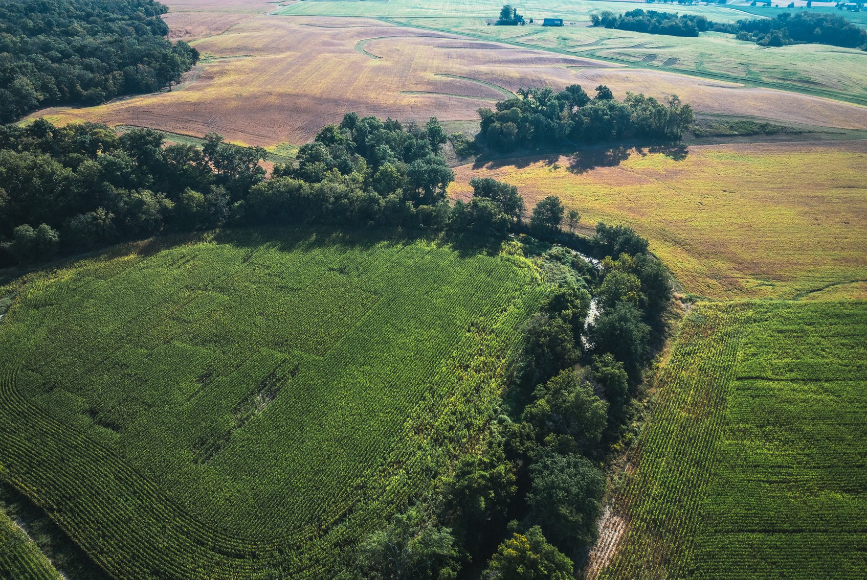 Image for St. Clair County Ag