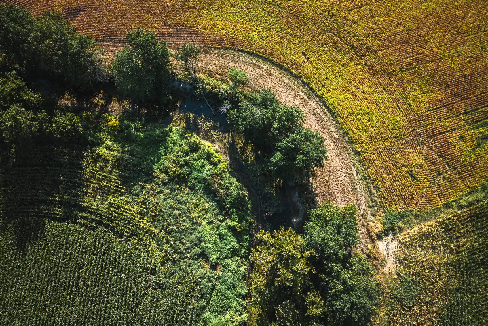 Image for St. Clair County Ag