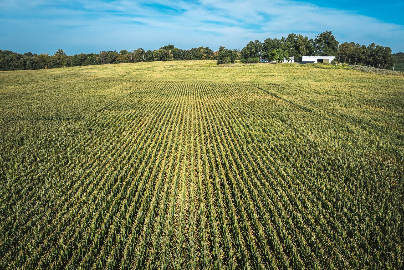 Image for St. Clair County Ag