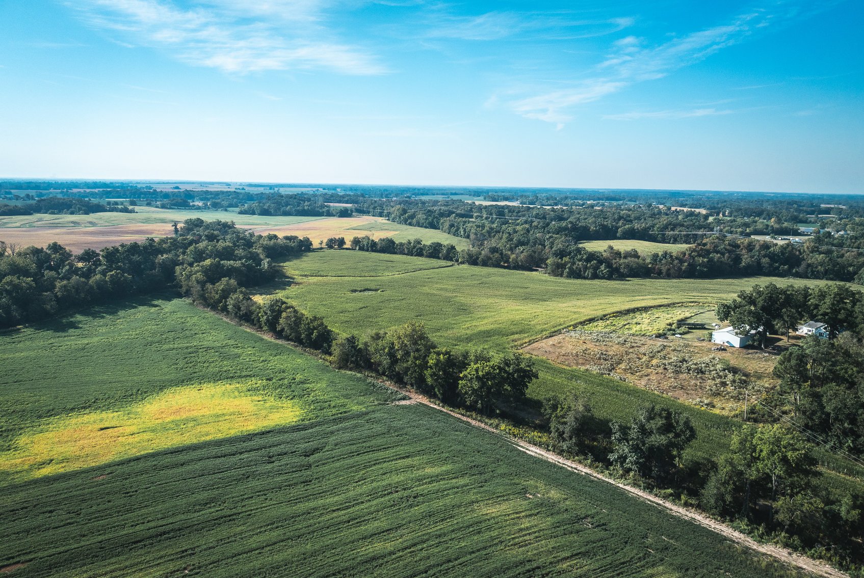 Image for St. Clair County Ag