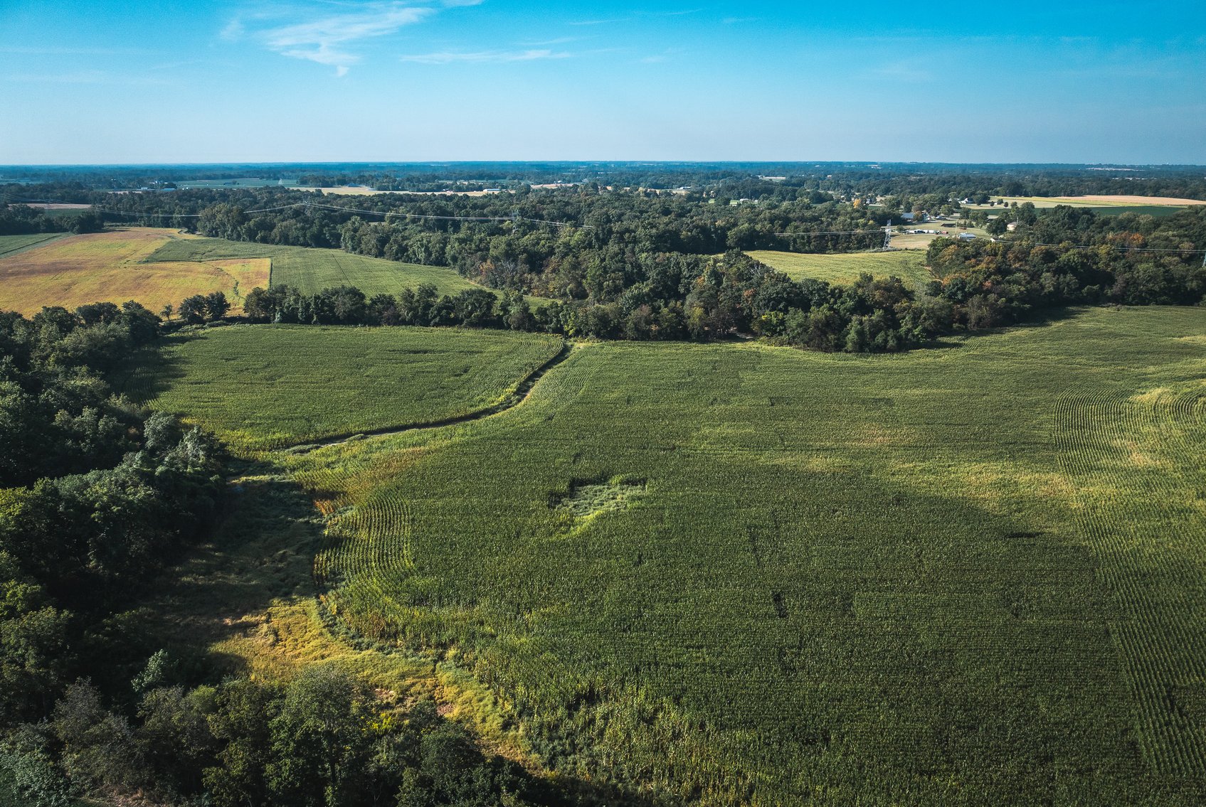 Image for St. Clair County Ag