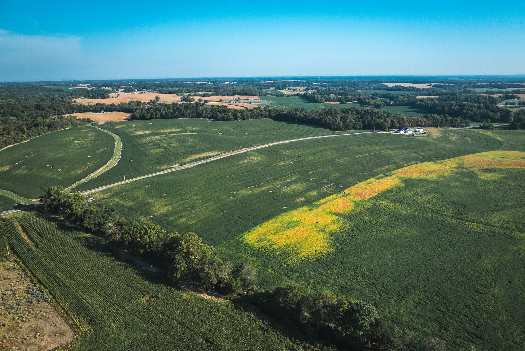 Image for St. Clair County Ag