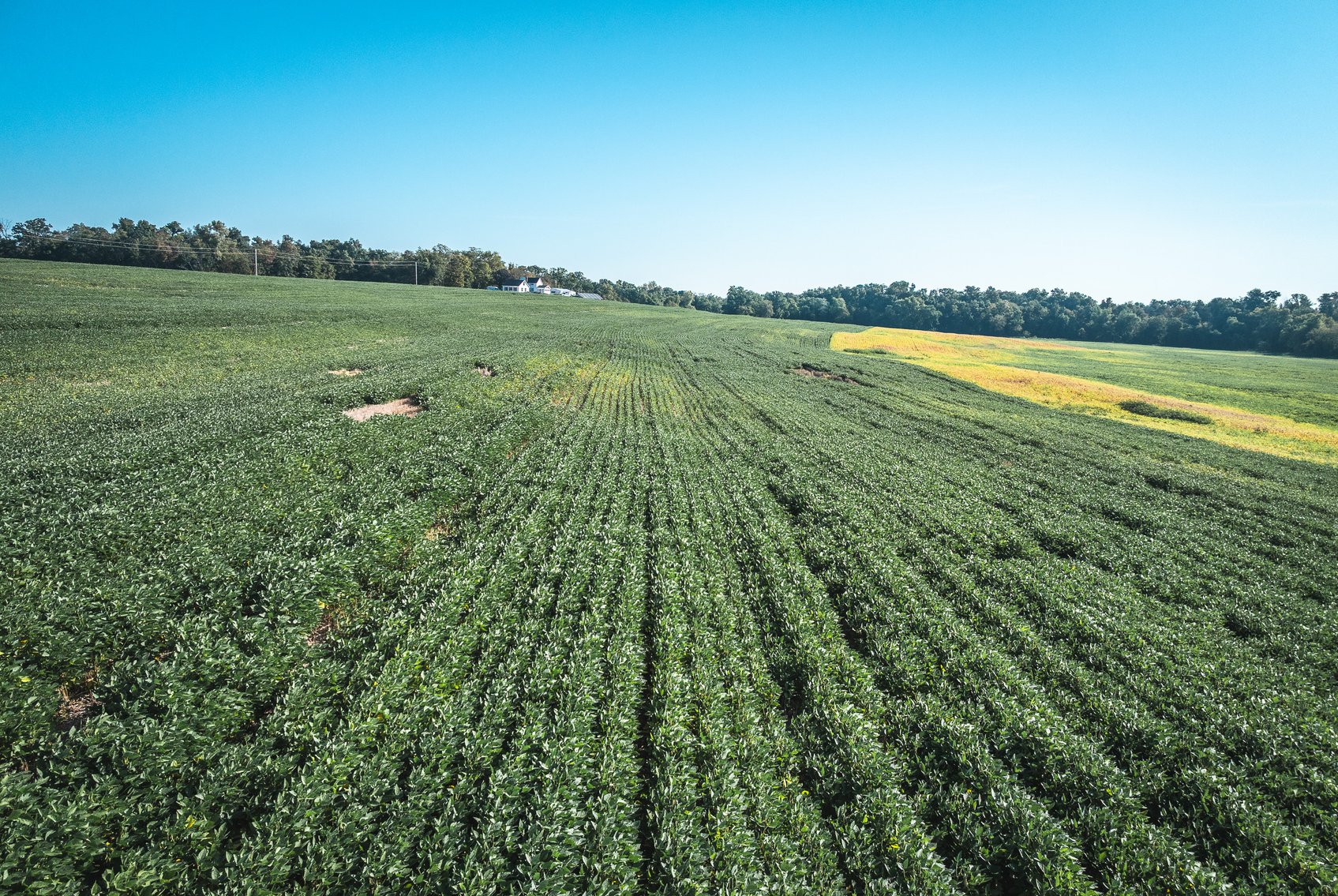 Image for St. Clair County Ag