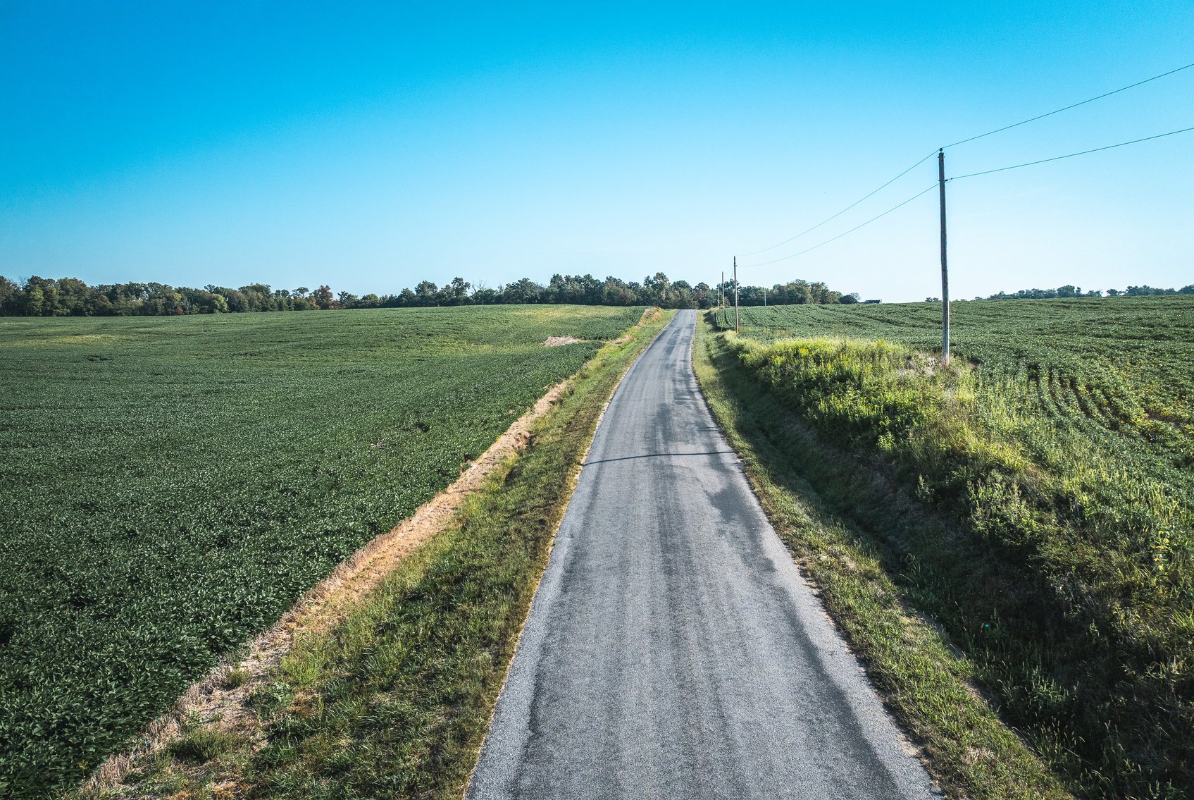 Image for St. Clair County Ag