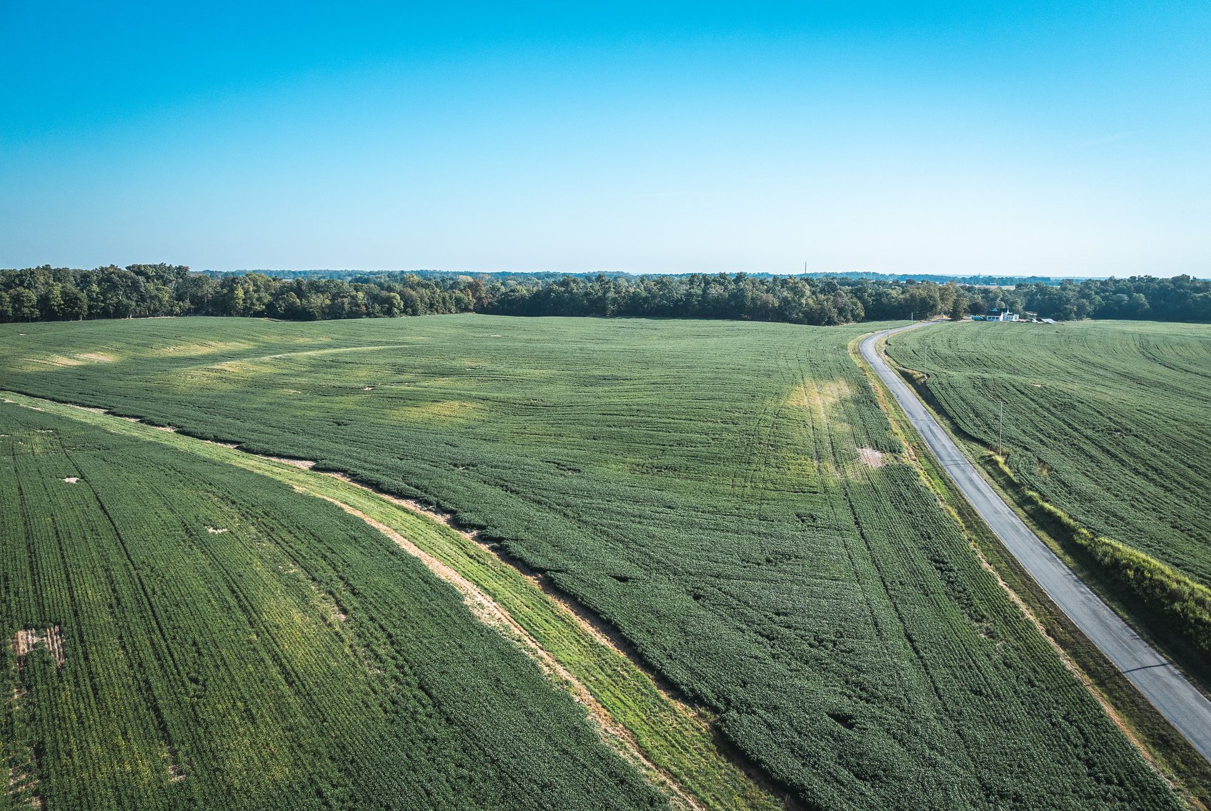 Image for St. Clair County Ag