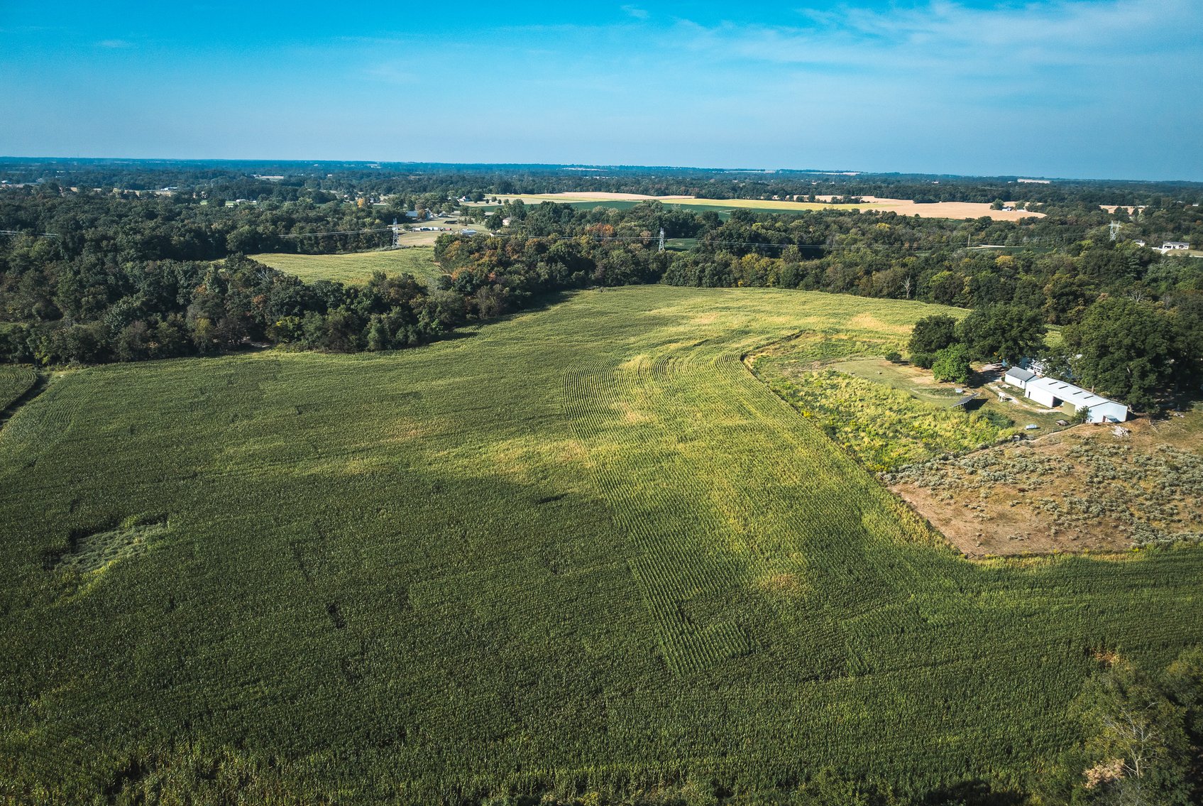 Image for St. Clair County Ag