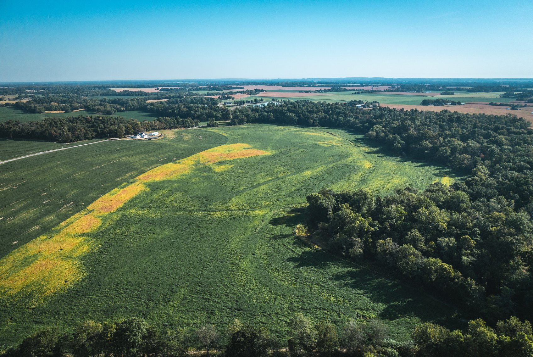 Image for St. Clair County Ag