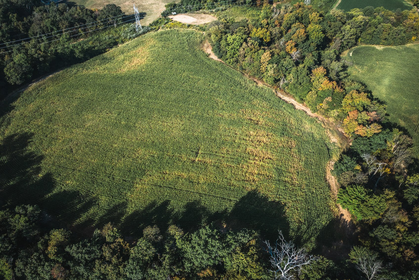 Image for St. Clair County Ag