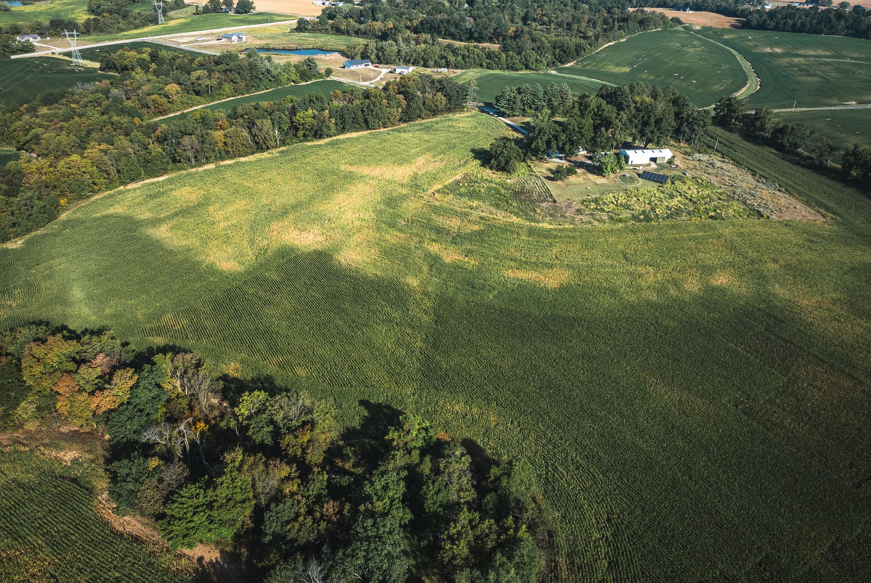 Image for St. Clair County Ag