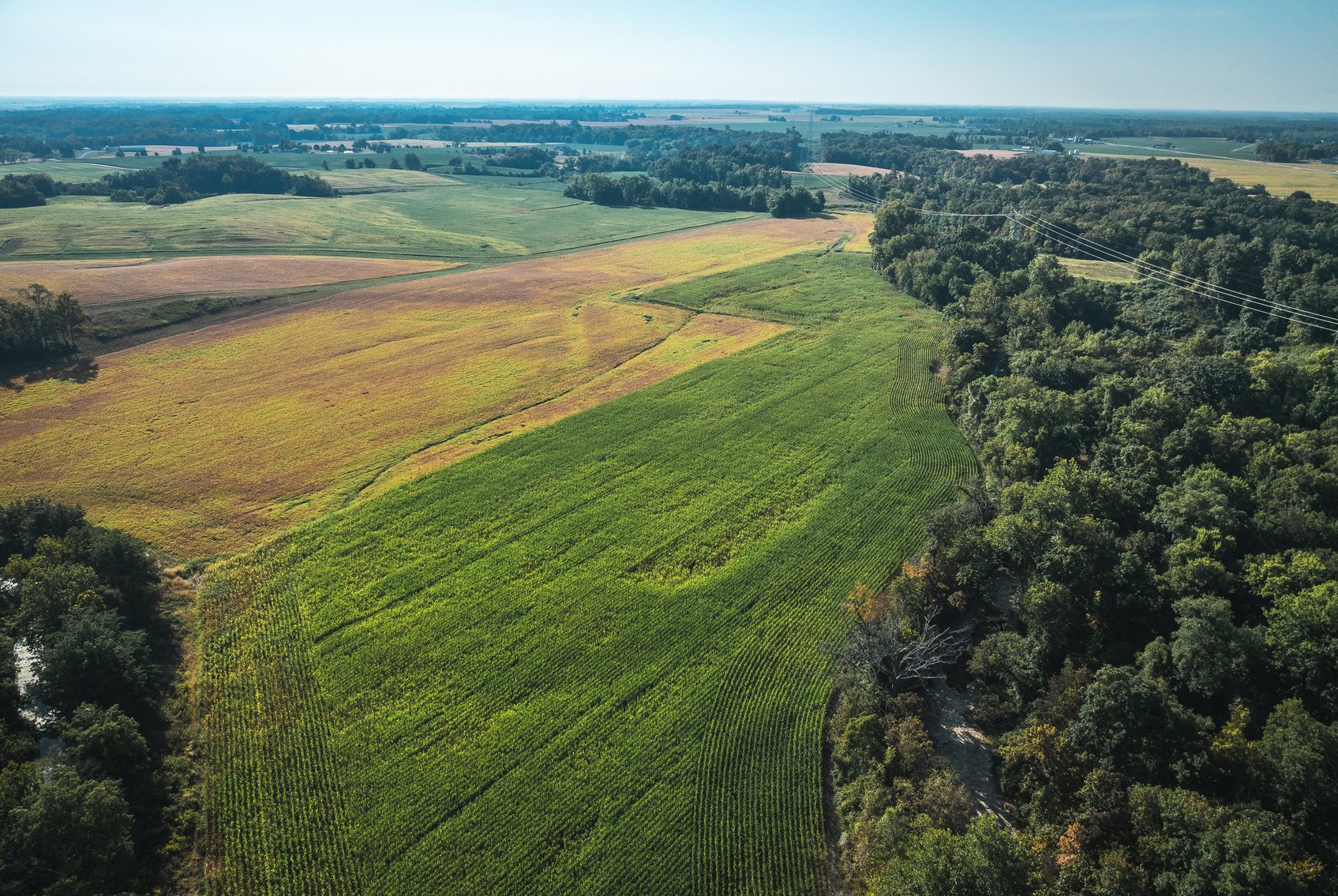 Image for St. Clair County Ag