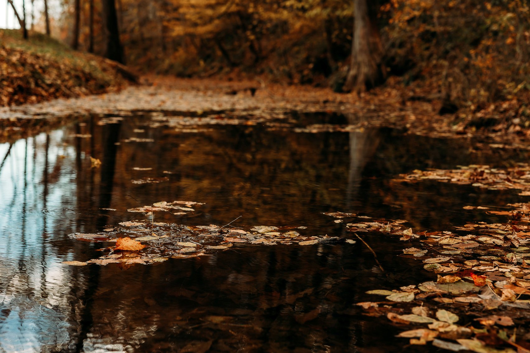 Image for Keener Springs