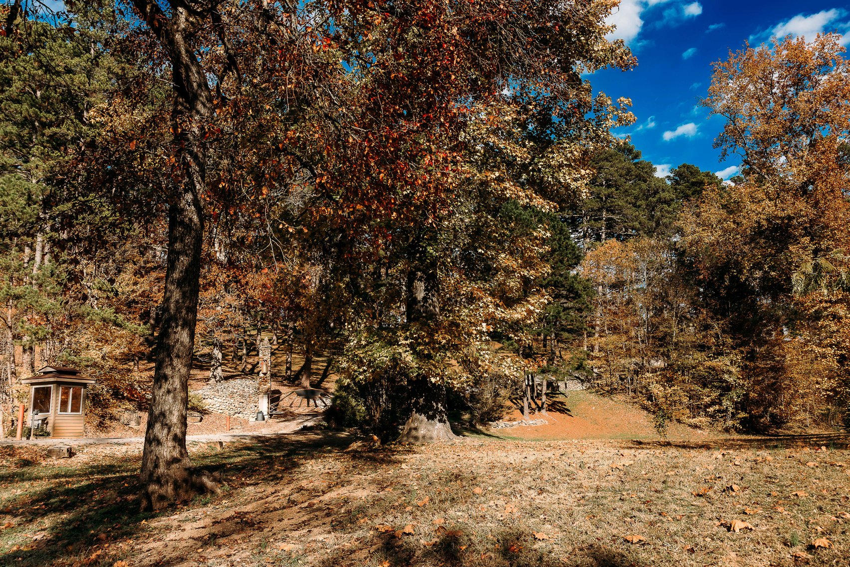 Image for Keener Springs