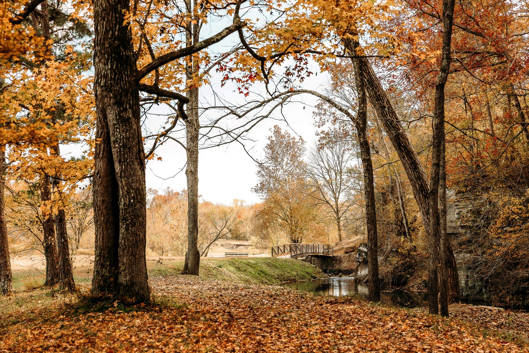 Image for Keener Springs