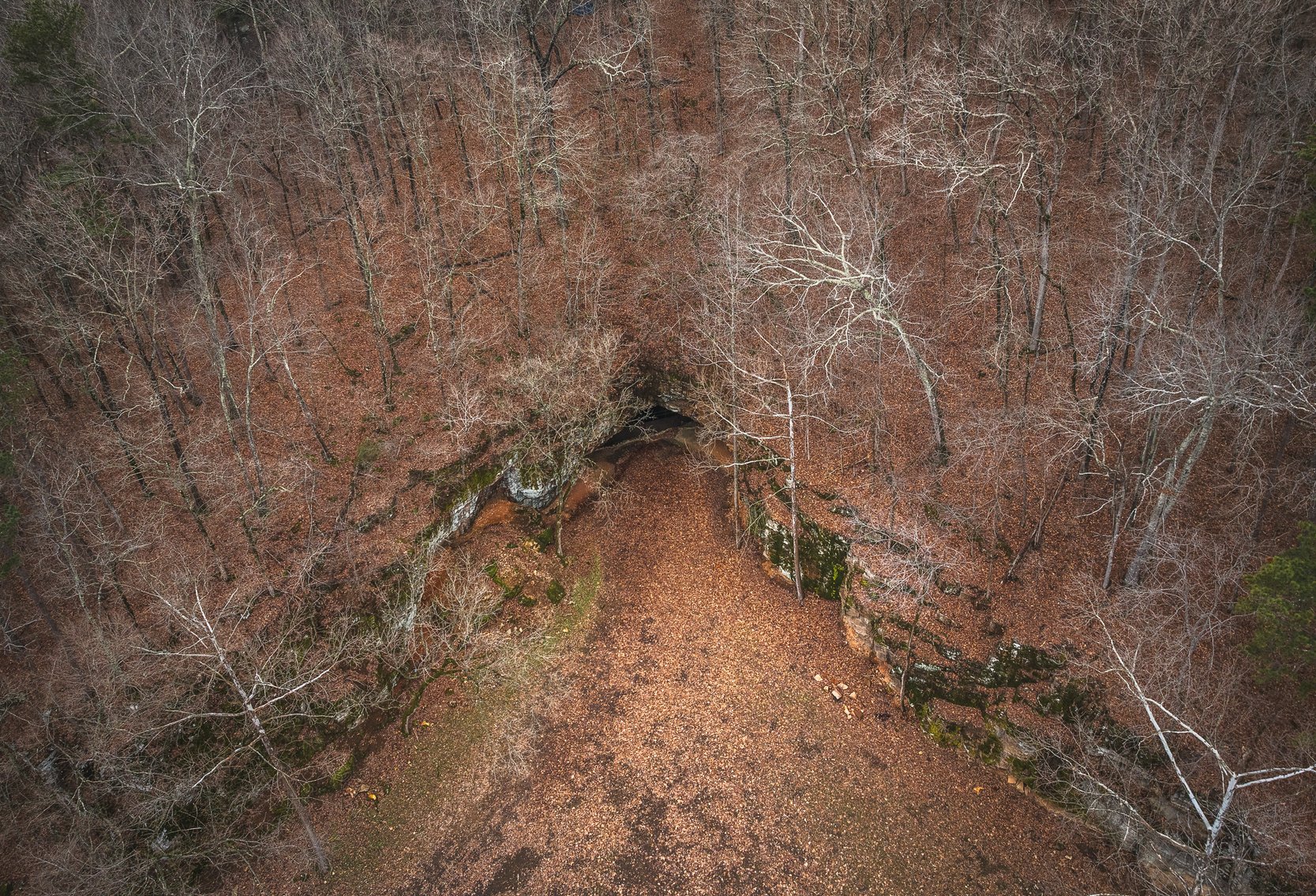 Image for Keener Springs