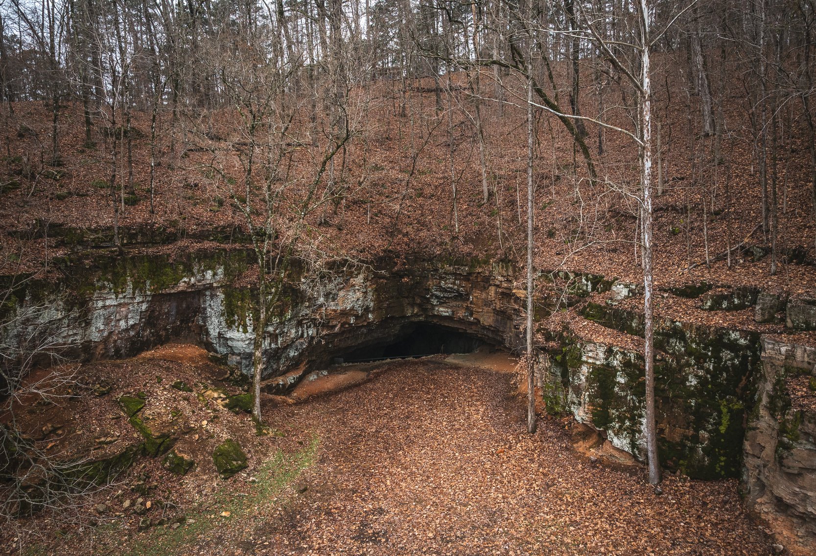 Image for Keener Springs
