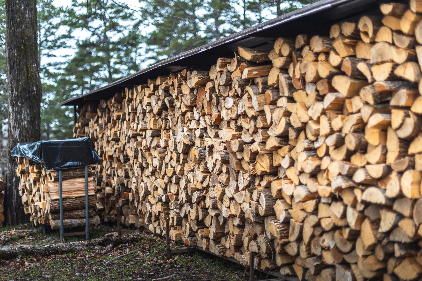 Image for Keener Springs