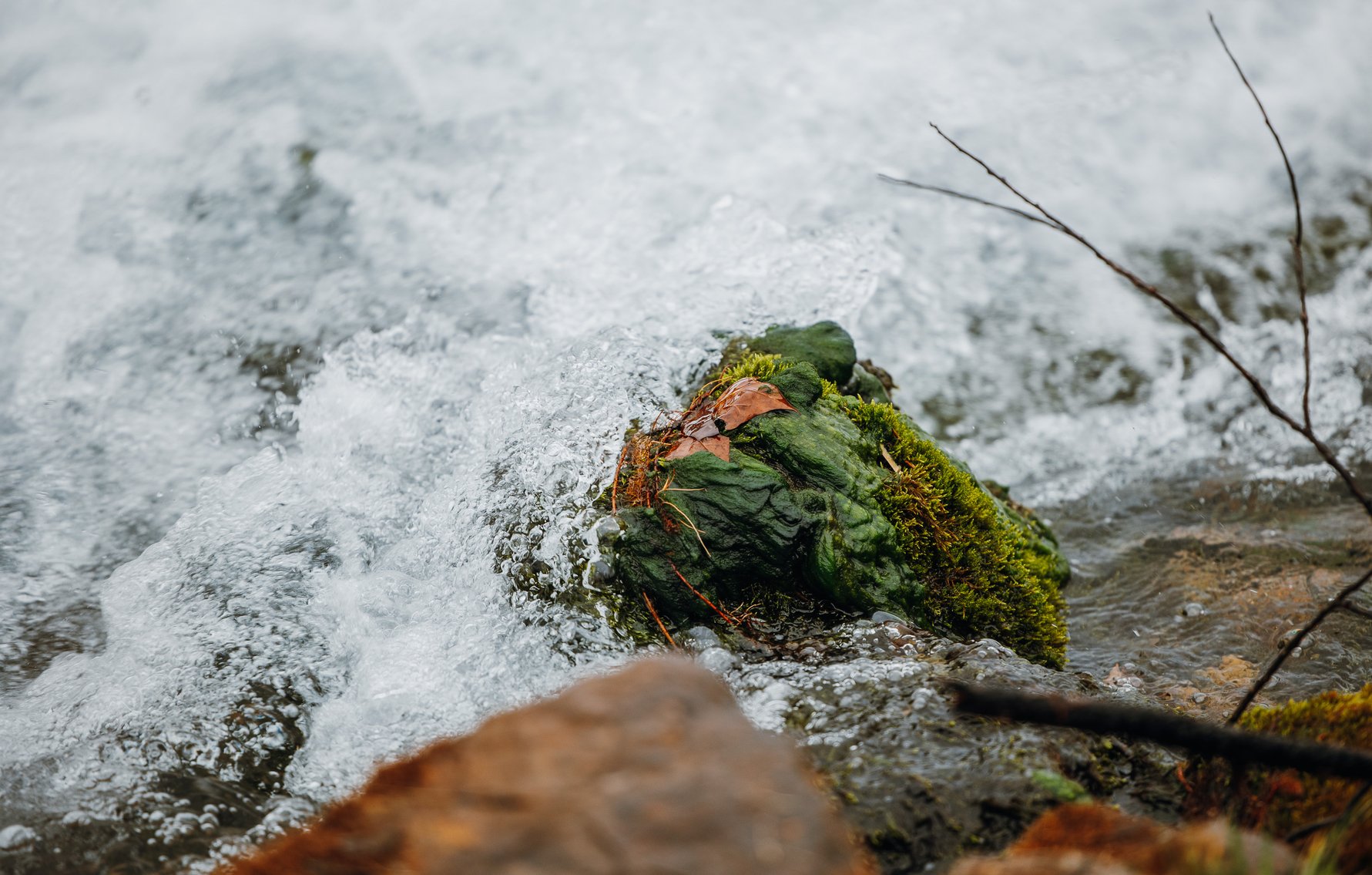 Image for Keener Springs