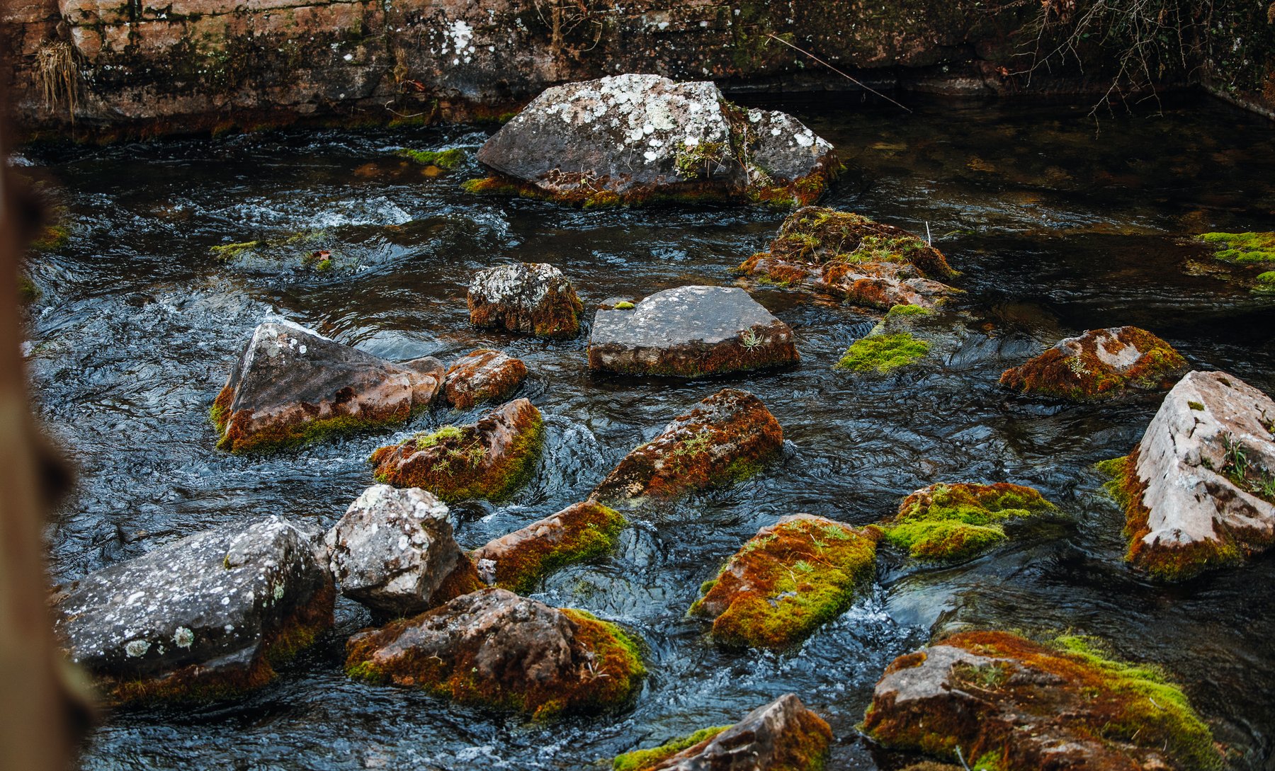 Image for Keener Springs