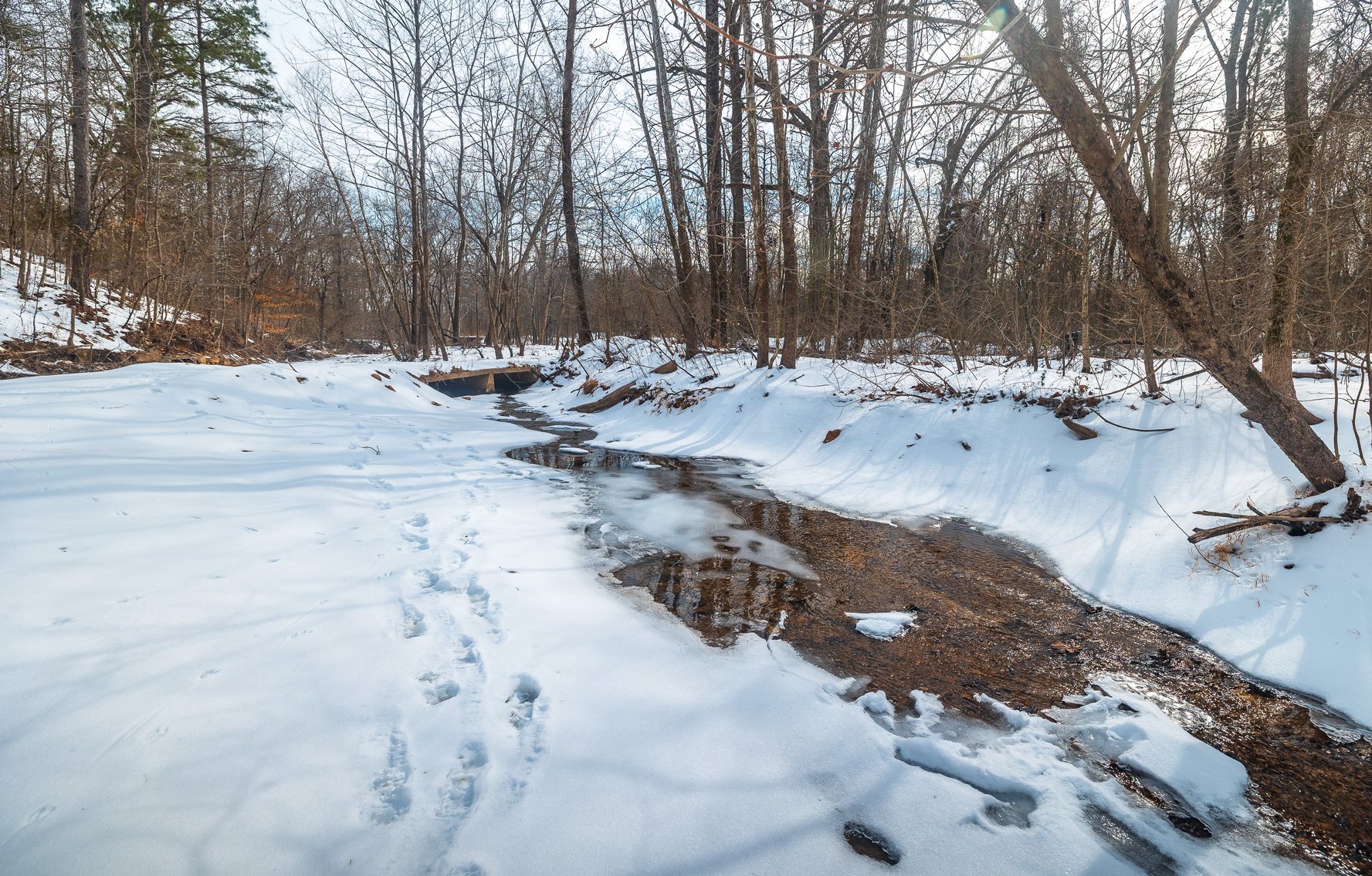 Image for Keener Springs
