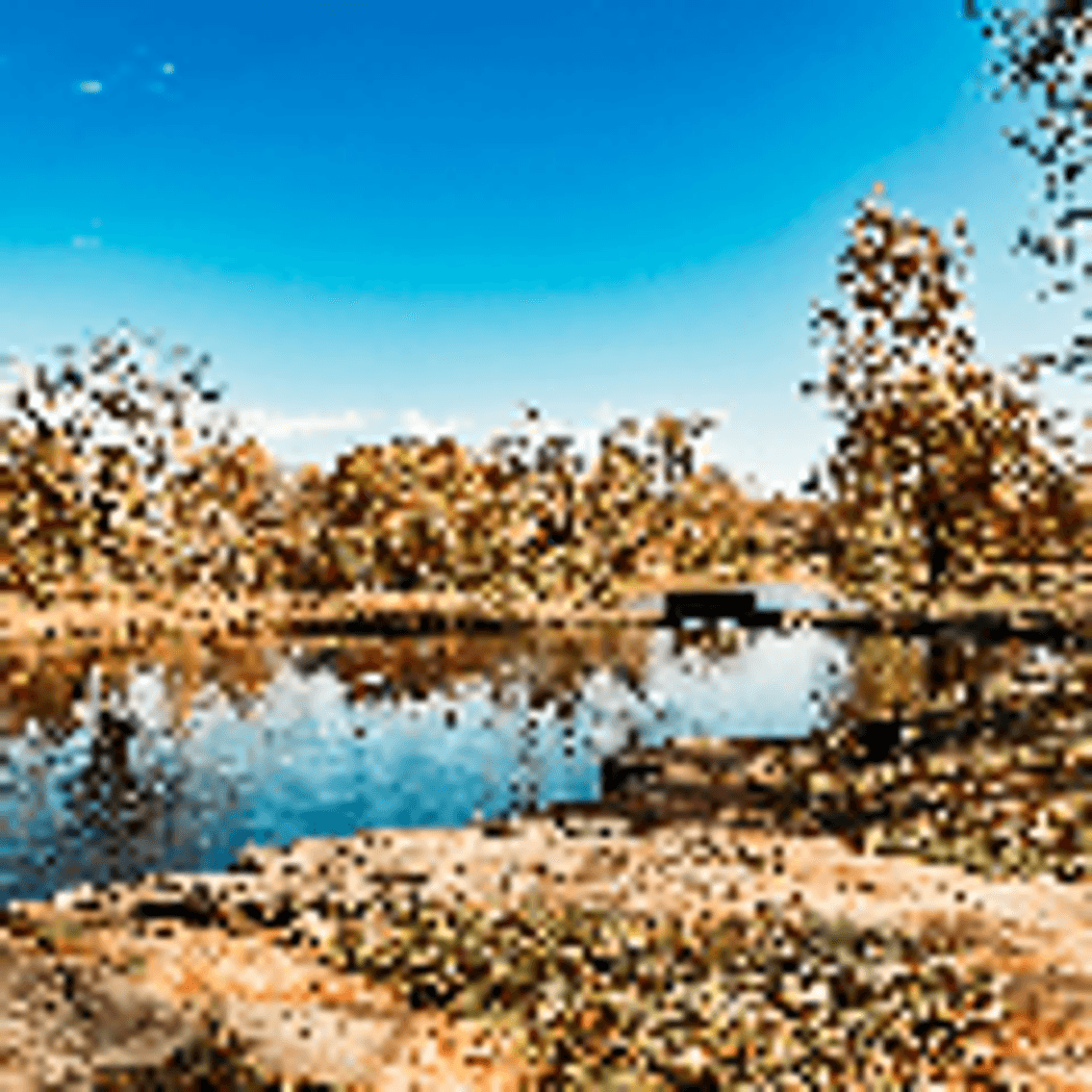 Image for Keener Springs